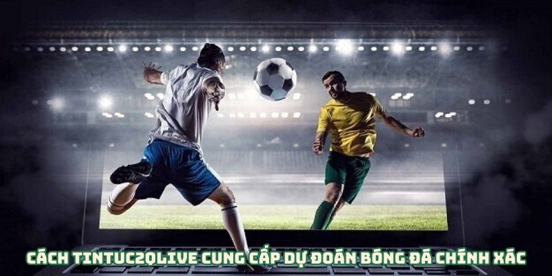 Cách Tintuc2qlive Cung Cấp Dự Đoán Bóng Đá Chính Xác