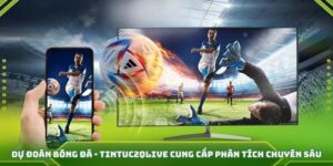 Dự đoán bóng đá tại 2QLIVE