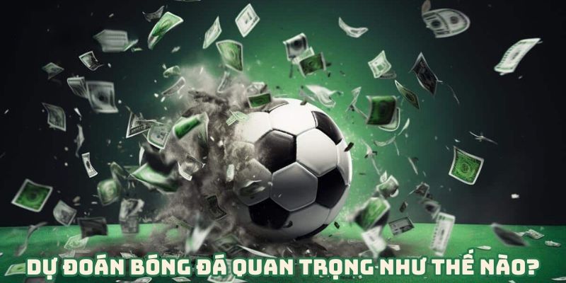 Dự Đoán Bóng Đá Quan Trọng Như Thế Nào?