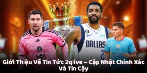Giới thiệu 2QLIVE